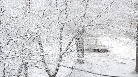 Snow covered trees. An empty children's carousel is spinning. Stock Footage 158679698