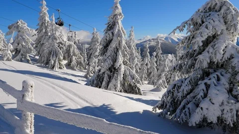 Snow covered trees Stock Footage 86115765