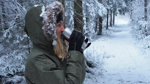 Snow Covered Trees Stock Footage 146309009