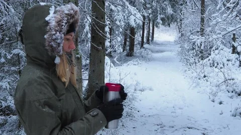 Snow Covered Trees Stock Footage 146575569