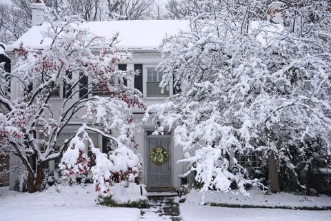 Snow covered trees in front yard of house Foto stock