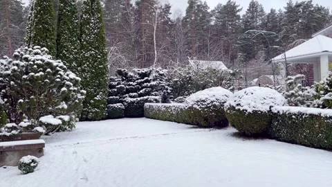 Snow covered trees in the garden and in the forest. Beautiful winter landscape Stock Footage 302051027