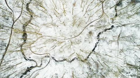 Snow-covered trees in Gothenburg, Sweden. Stock Photos