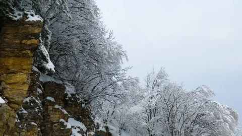 Snow covered trees grow over rock formations 스톡 동영상 124609002