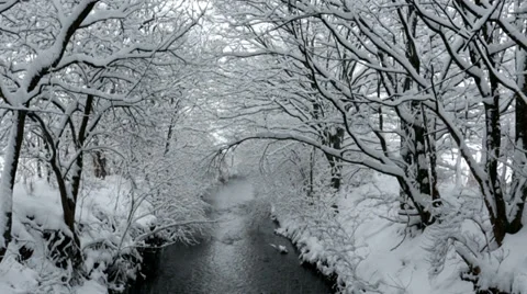 Snow covered trees hanging over small river on winter morning Stock Footage 30719419