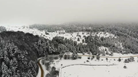 Snow-covered trees in the middle of mountains. Natural landscape in winter time. Stock Footage 133278818