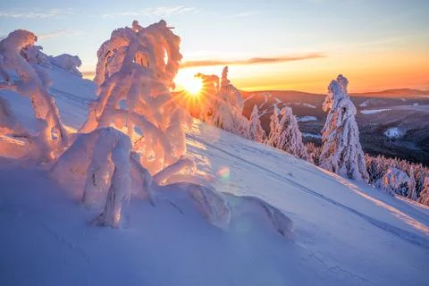 Snow-covered trees on a mountain at sunset Foto stock