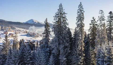 Snow-covered trees with mountain view in sunny winter morning Stock Photos