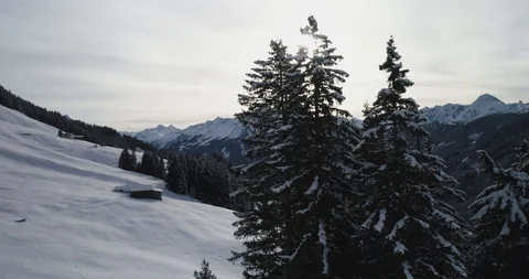 Snow covered trees in mountainous Austrian Alps with cabins Stock Footage 102450628