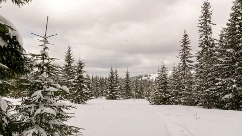 Snow covered trees in the mountains in a cloudy winter day Stockbeeldmateriaal 172207181