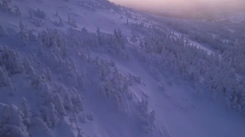 Snow-covered trees in mountains at dawn. Drone flight in winter Stock Footage 230649169