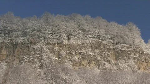 Snow covered trees, mountains Stock Footage 608935
