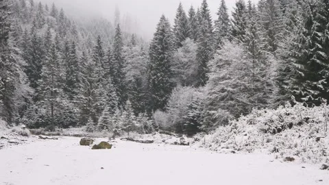 Snow covered trees in mountains Stock Footage 144656280