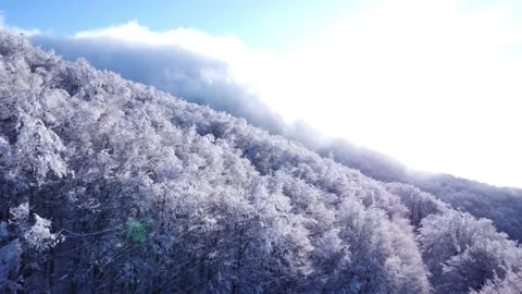 Snow-covered trees in the mountains 動画素材 232922533
