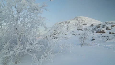 Snow-covered trees in the mountains at sunset Stock Footage 85801630