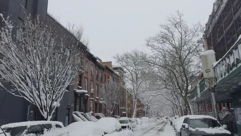 Snow-Covered Trees by New Construction Building, Brooklyn, Winter Blizzard Video stock 329888624
