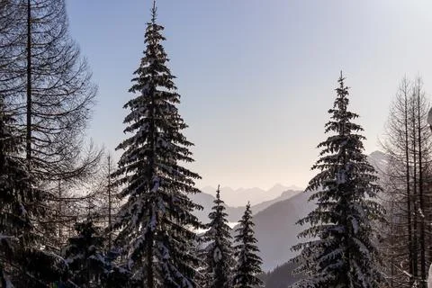 Snow covered trees with panoramic view on misty high mountain ranges of Kar.. Stock Photos