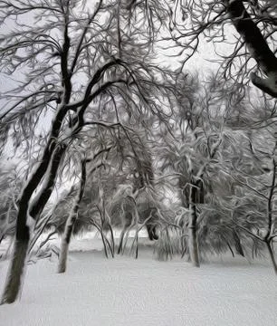 Snow covered trees Stock Photos