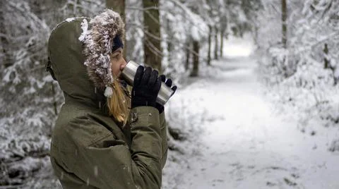 Snow Covered Trees Stock Photos