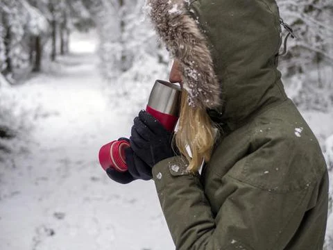 Snow Covered Trees Stock Photos