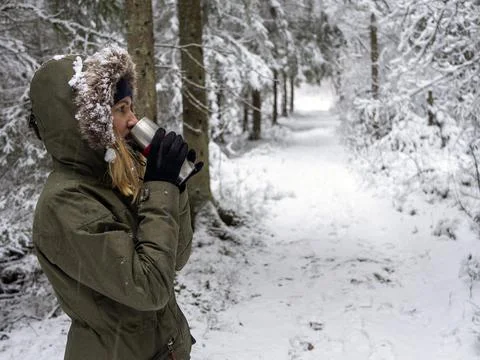 Snow Covered Trees Stock Photos