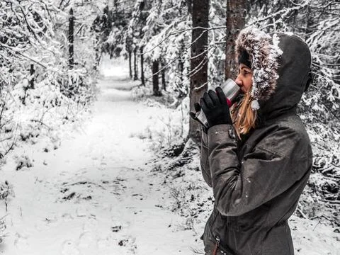 Snow Covered Trees Stock Photos