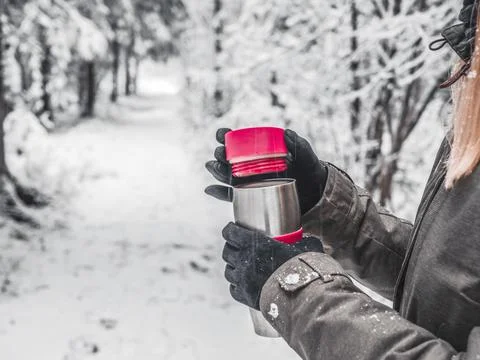 Snow Covered Trees Stock Photos