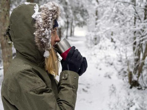 Snow Covered Trees Stock Photos