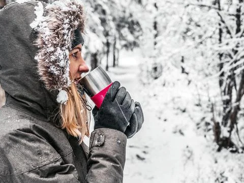 Snow Covered Trees Stock Photos