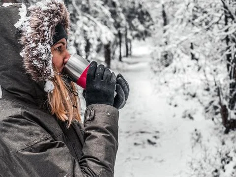 Snow Covered Trees Stock Photos