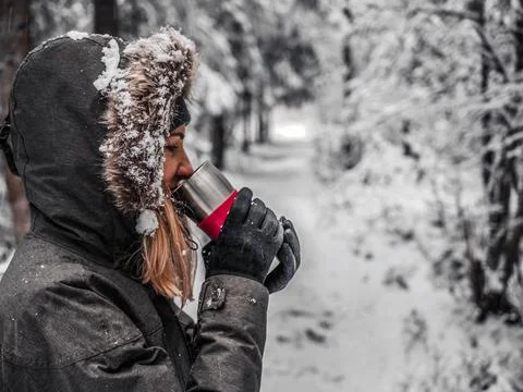 Snow Covered Trees Stock Photos