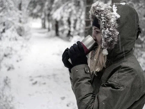 Snow Covered Trees Stock Photos