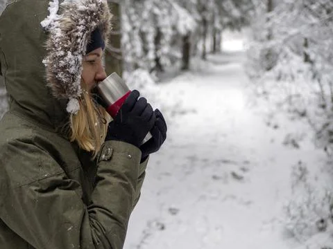 Snow Covered Trees Stock Photos
