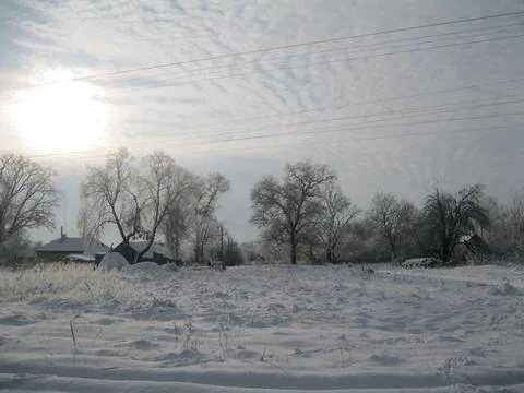 Snow covered trees Foto stock