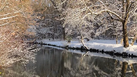 Snow Covered Trees Reflecting in River in Winter Park Wide Shot 库存影片 347251569