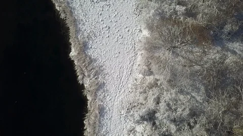 Snow covered trees by river's edge drone Video stock 121680685
