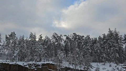 Snow Covered Trees With Sky View Stock Footage 295352153