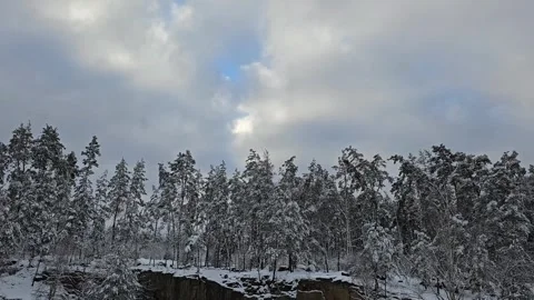 Snow Covered Trees With Sky View Stock Footage 295352208