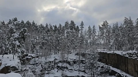 Snow Covered Trees With Sky View Stock Footage 295352222