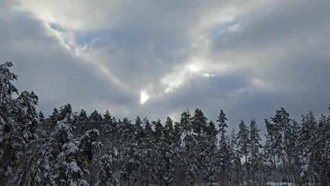 Snow Covered Trees With Sky View Stock Footage 295352277