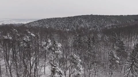 Snow covered trees stretch across a vast winter forest landscape under an 스톡 동영상 331070489