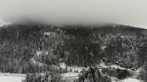 Snow-covered trees from the top in Abant. Natural landscape in winter time Video stock 133278735