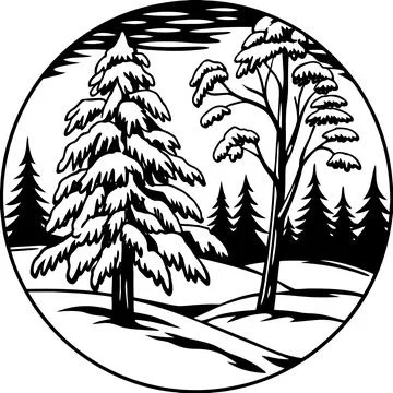 Snow Covered Trees Under Gray Sky (1) Stock Illustration