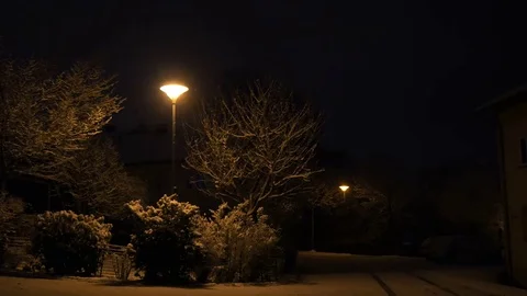 Snow-covered trees under the lamp in the yard Stock Footage 82858019