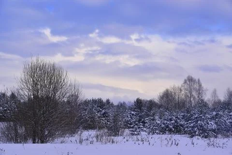 Snow-covered trees in the Ural winter forest. Winter in the foothills of the  Stock Photos
