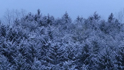 Snow covered trees with water in background on cold winter day Stock Footage 127260566