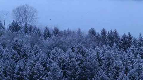 Snow covered trees with water in background on cold winter day 動画素材 127260567