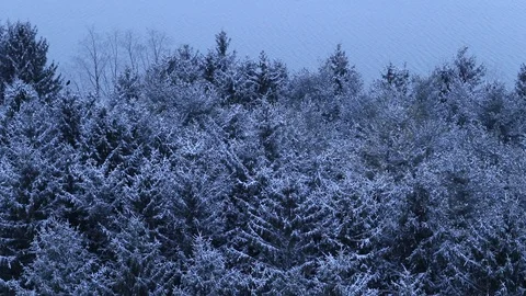 Snow covered trees with water in background on cold winter day 動画素材 127260577