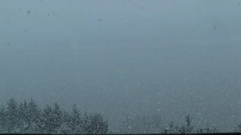 Snow covered trees with water in background on cold winter day Stock-Footage 127260624