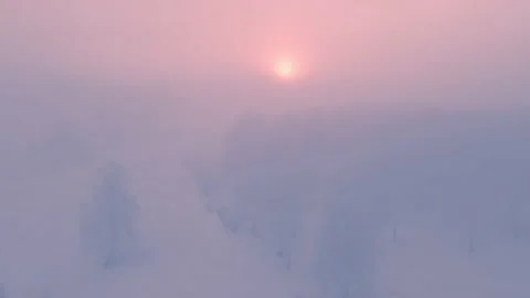 Snow-covered trees in winter forest at foggy sunrise. Stock Footage 166908294